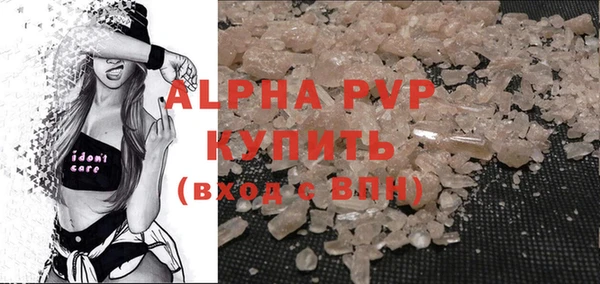 стафф Новозыбков