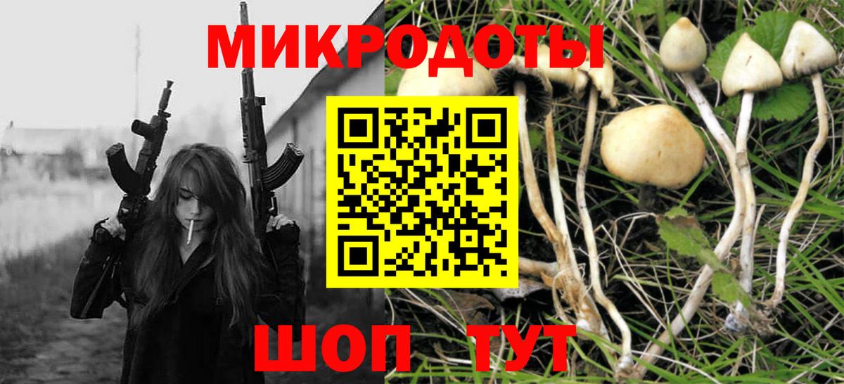 Родники  где найти наркотики  Вход с VPN  Псилоцибиновые грибы Cubensis  Псилоцибиновые грибы ЛСД 
