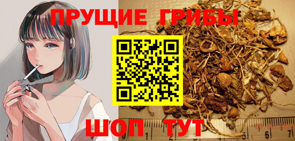 Галлюциногенные грибы GOLDEN TEACHER Родники