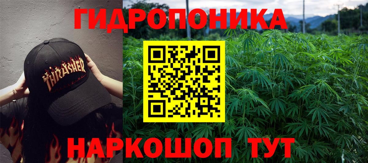 Бошки Шишки Bruce Banner Родники
